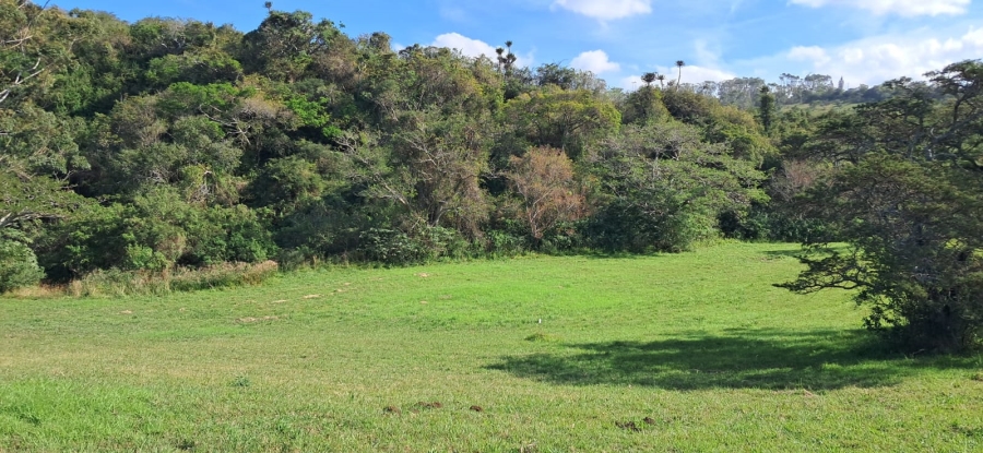 0 Bedroom Property for Sale in Gonubie Eastern Cape